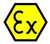 100px EX logo