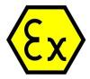 100px EX logo